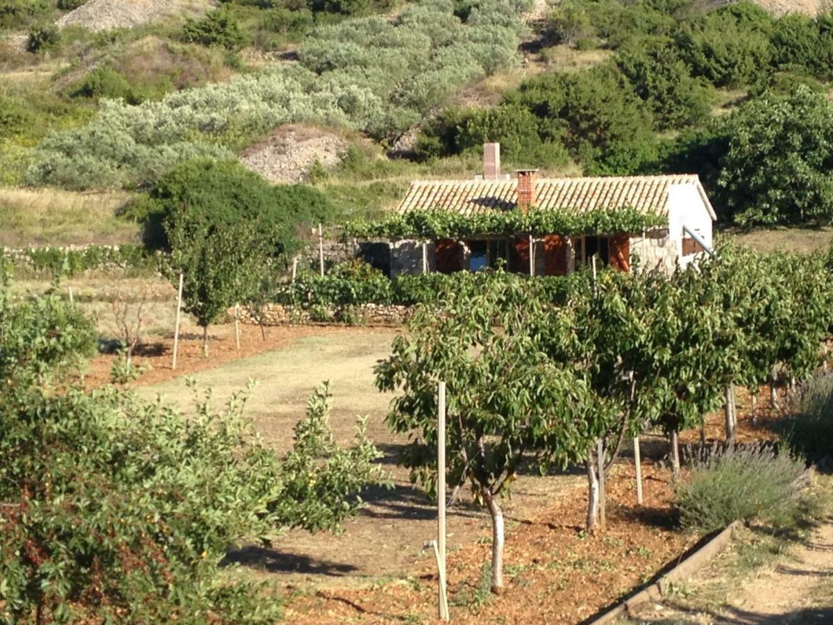 Country House Speedy Komiža Zewnętrze zdjęcie