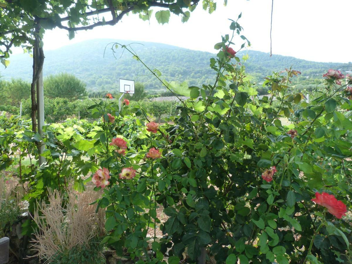 Country House Speedy Komiža Zewnętrze zdjęcie